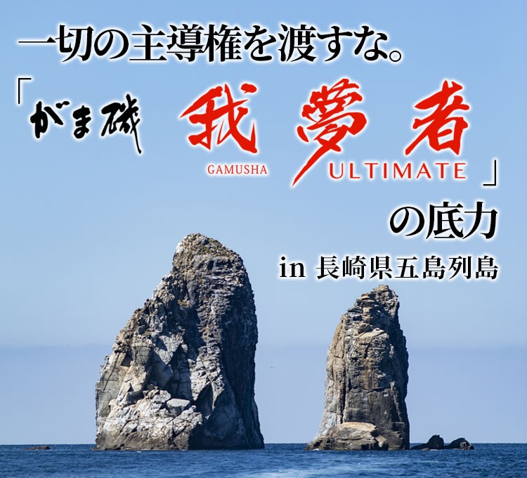 我武者アルティメイト