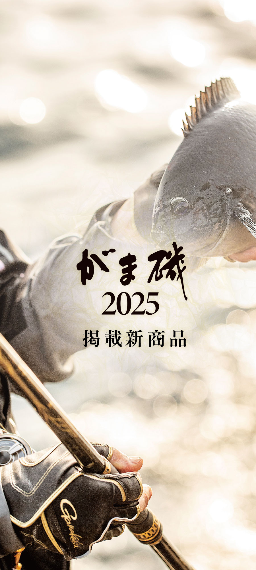 2025磯カタログ