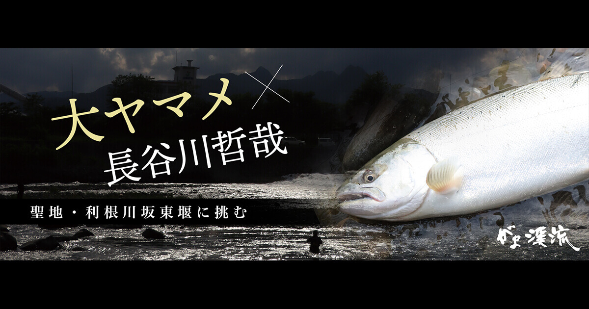 がま渓流 大ヤマメVS本流SPECIAL