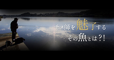 チヌ師を魅了するその魚とは？！