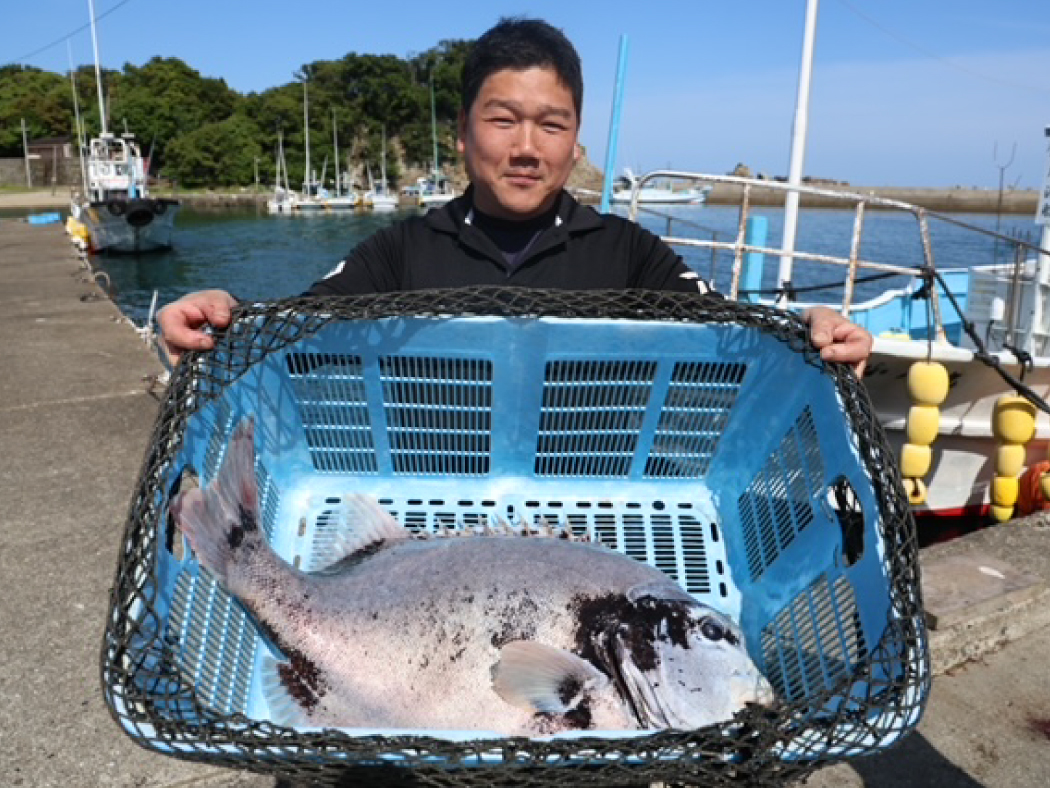 がまかつ がま石 本獅子 H565 石鯛竿 底物竿 磯竿 - 釣具の高価