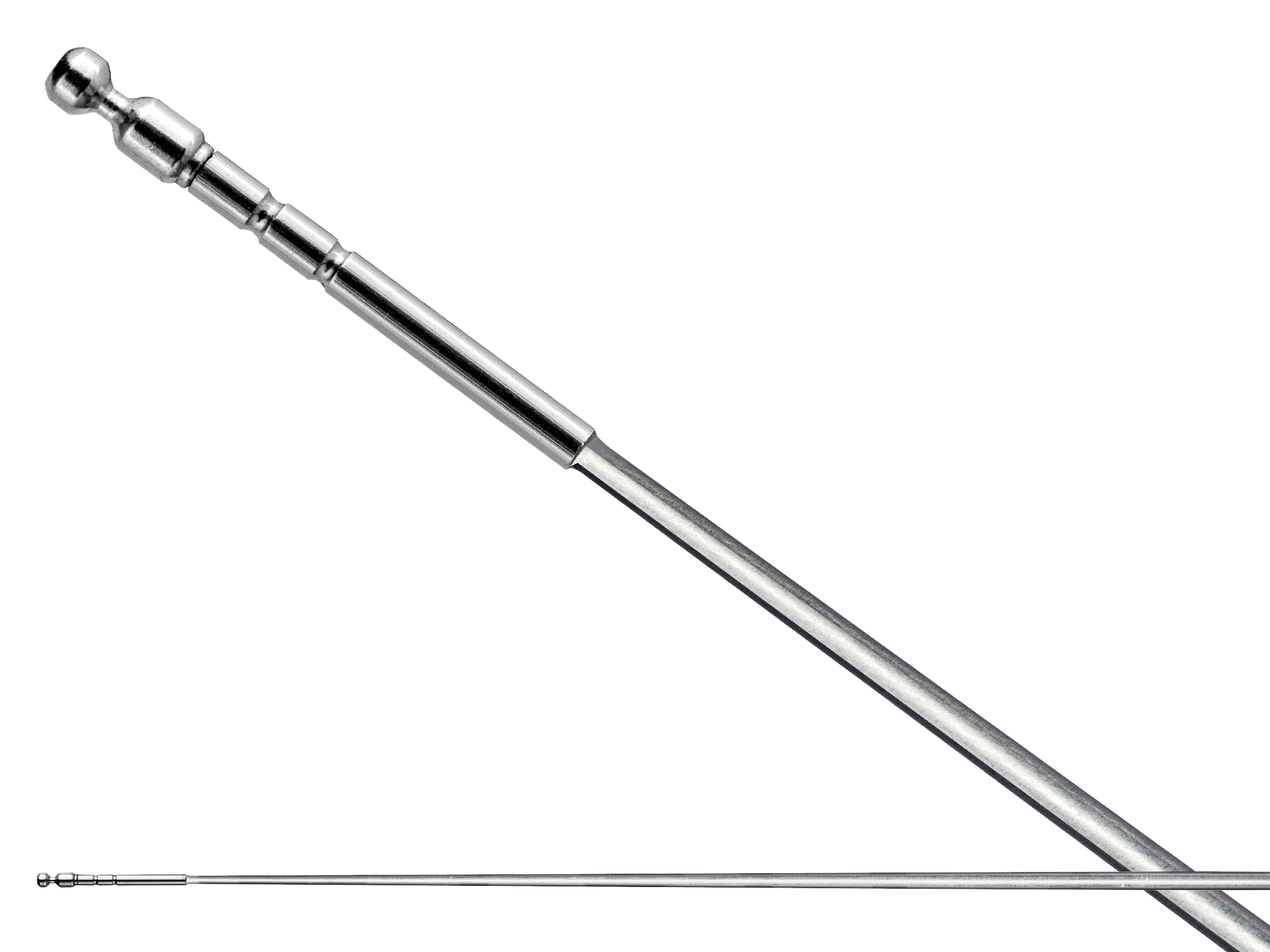 がま鮎 エクセルシオノブレス | がまかつ