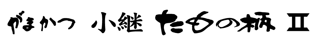 がまかつ 小継 たもの柄2 | がまかつ