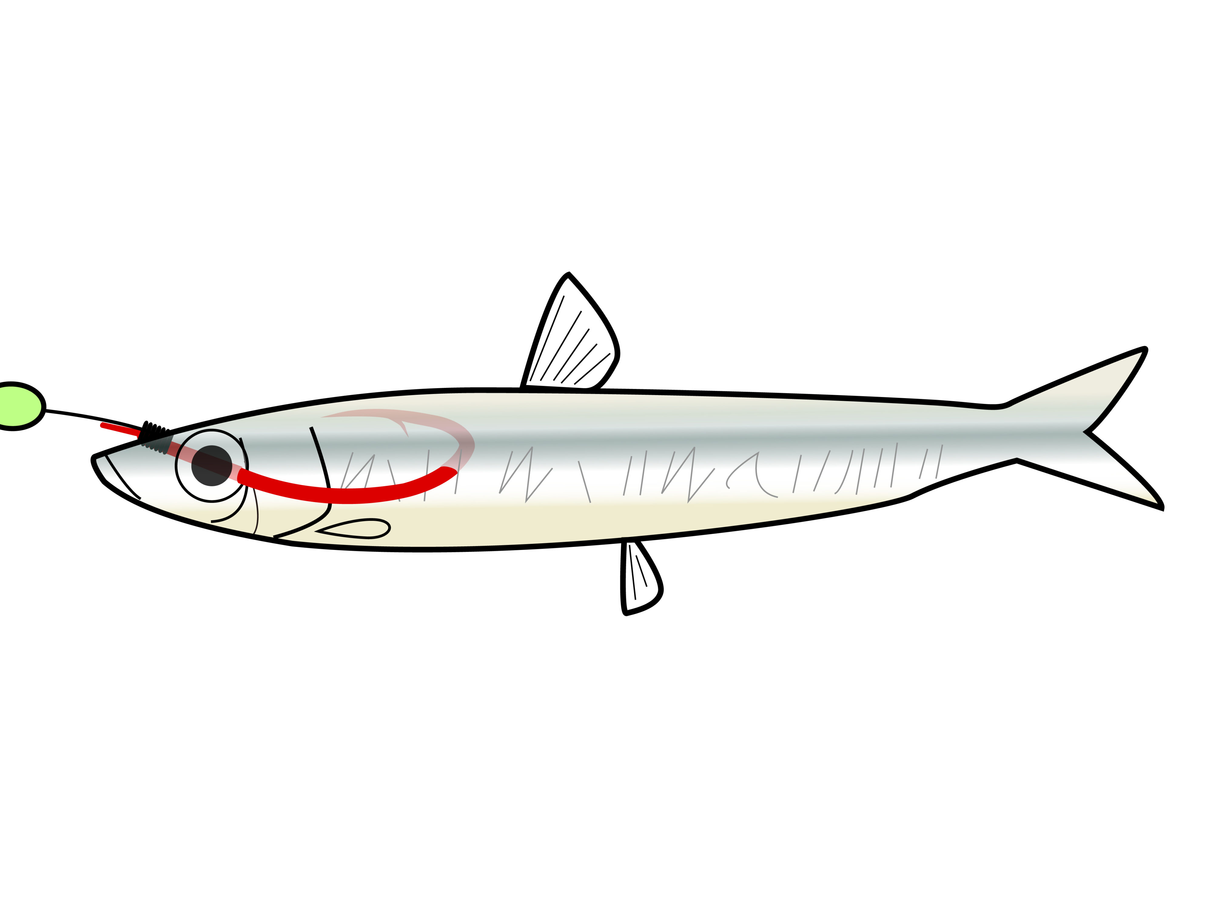 磯・堤防 ハタ族 根魚仕掛 | がまかつ