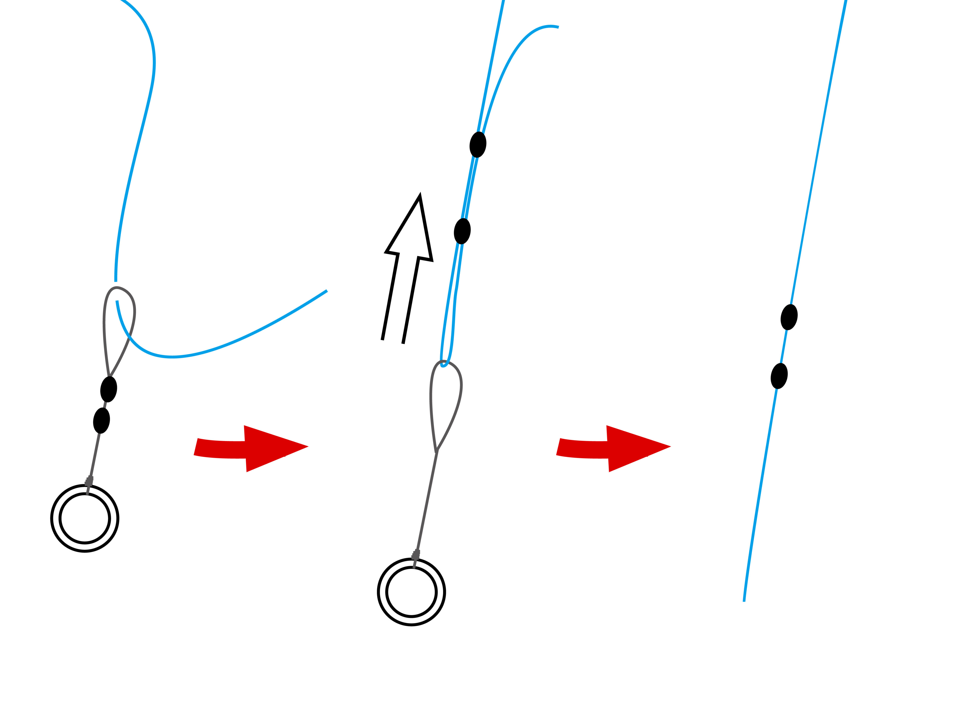 遠投泳がせのませパーフェクト | がまかつ