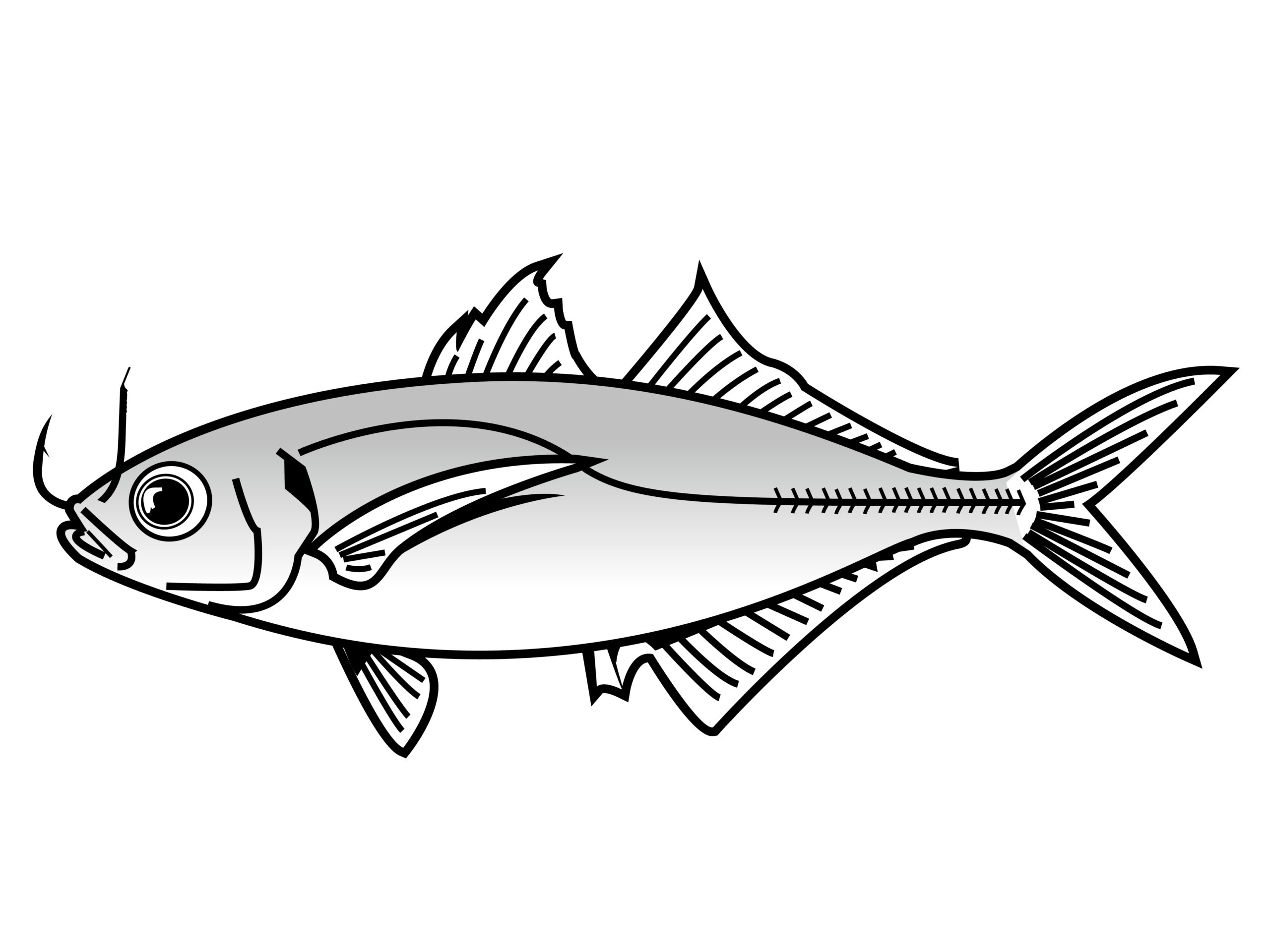 【TOKUKAI公式アカウント05】がまかつ　がま船　北海道 TOKUKAI公式アカウント05】がまかつ がま船 北海道 TOKUKAI公式