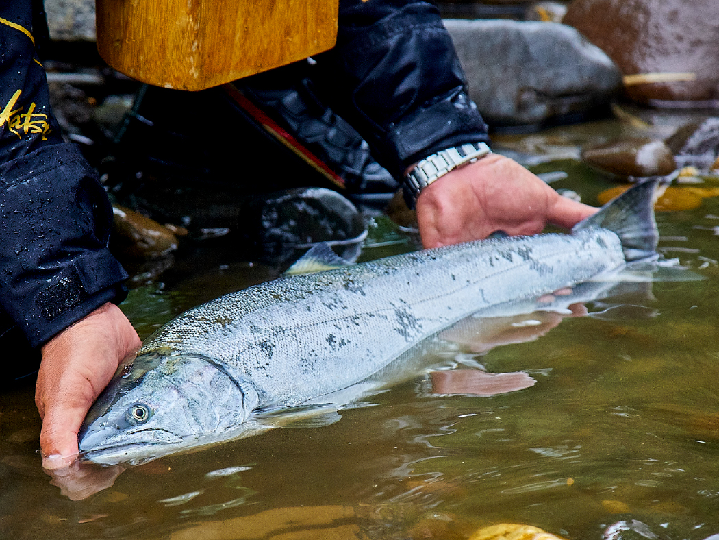 がま渓流 本流スペシャル2 | がまかつ
