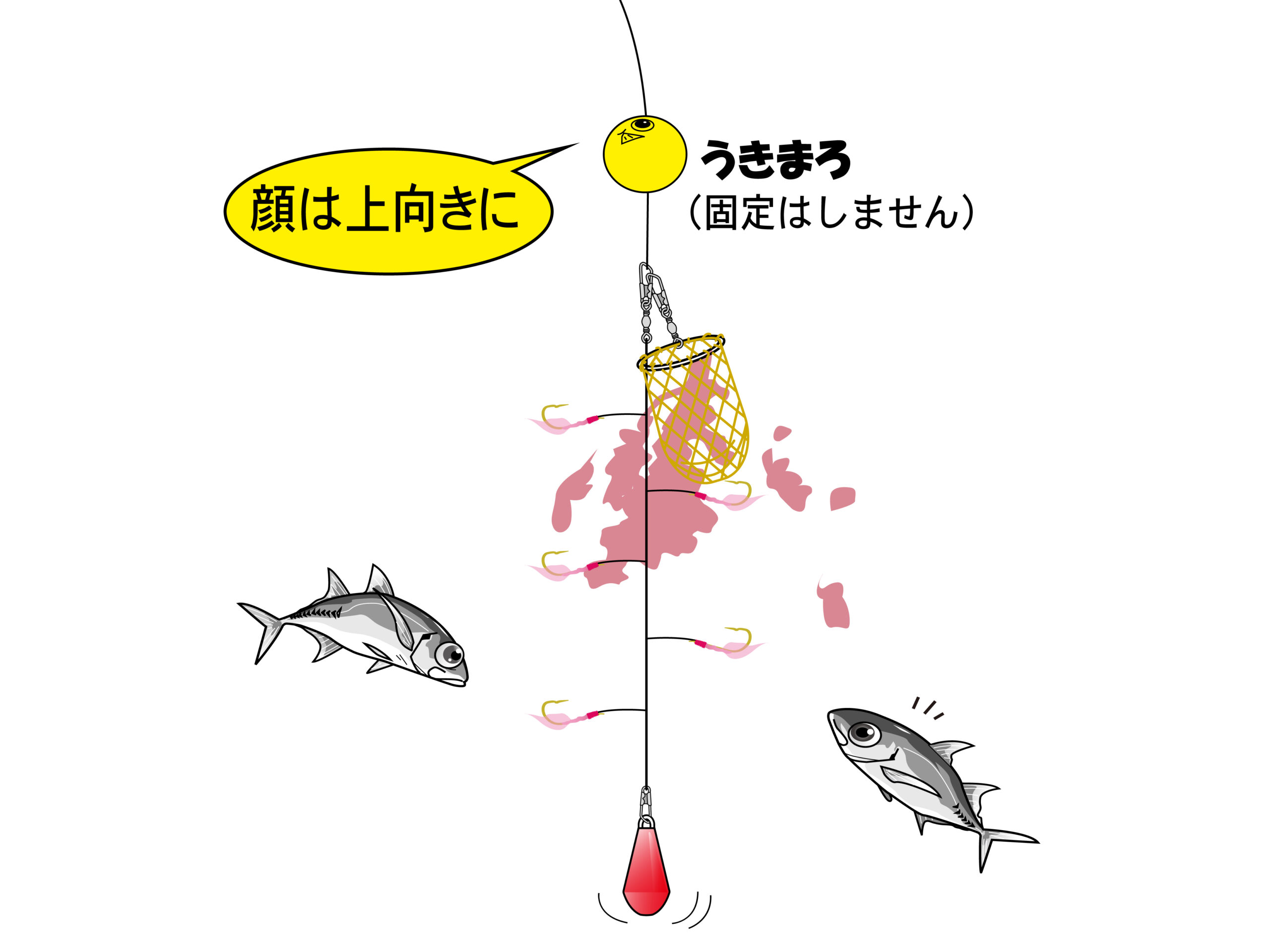 【釣りマロ】 東京湾のマゴチ絶好調！60cm超級の大型も！ | 釣りビジョン マガジン