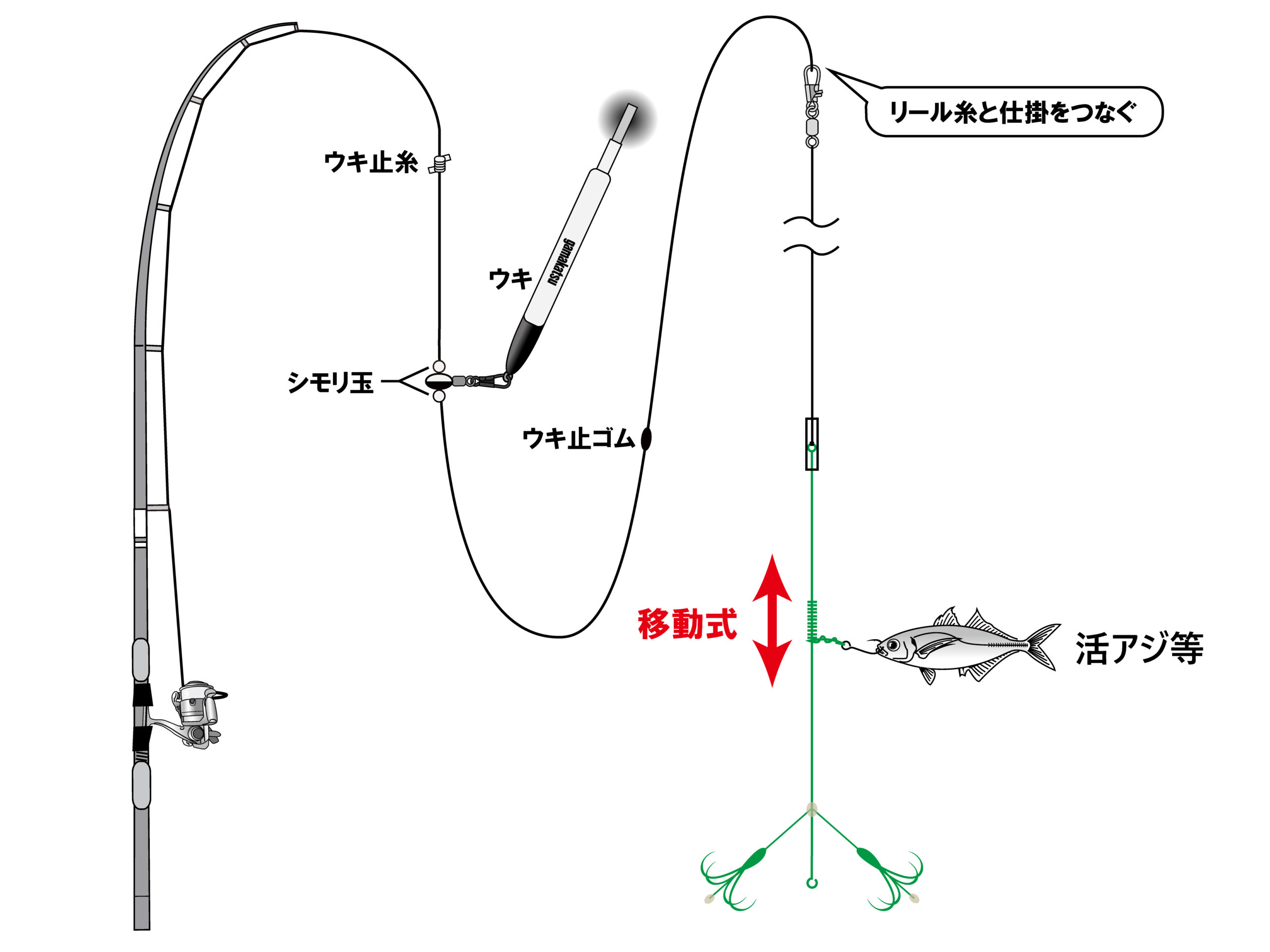 お墨つきアオリイカ仕掛はねあげ式 | がまかつ