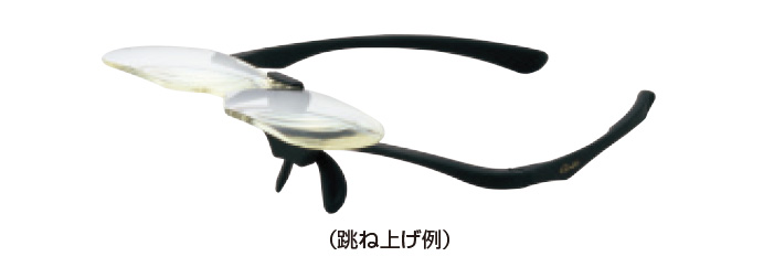 仕掛けルーペグラス GM1766 | がまかつ