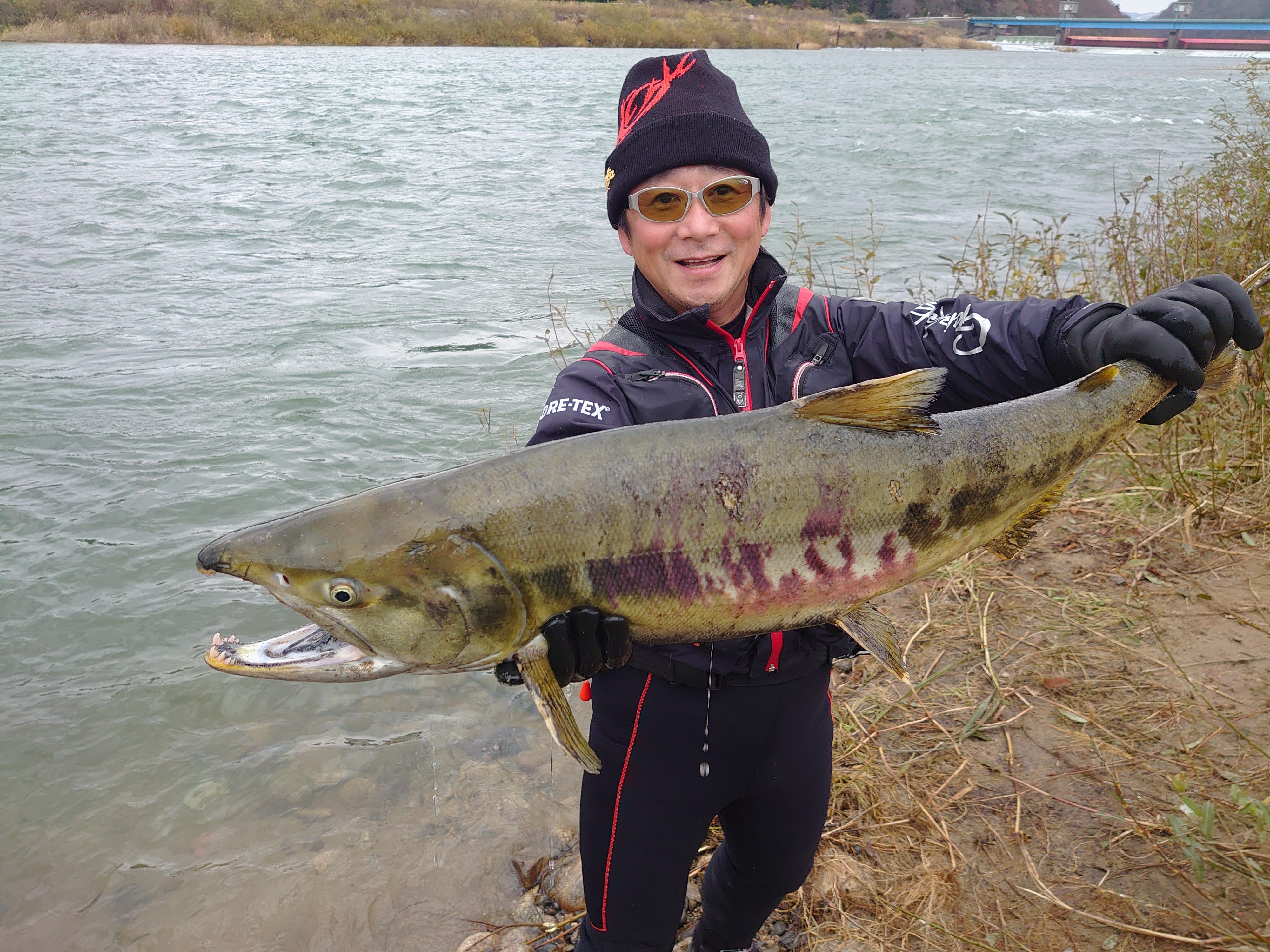 荒川鮭有効利用調査に参加 がまかつ 荒川鮭有効利用調査に参加 がまかつ