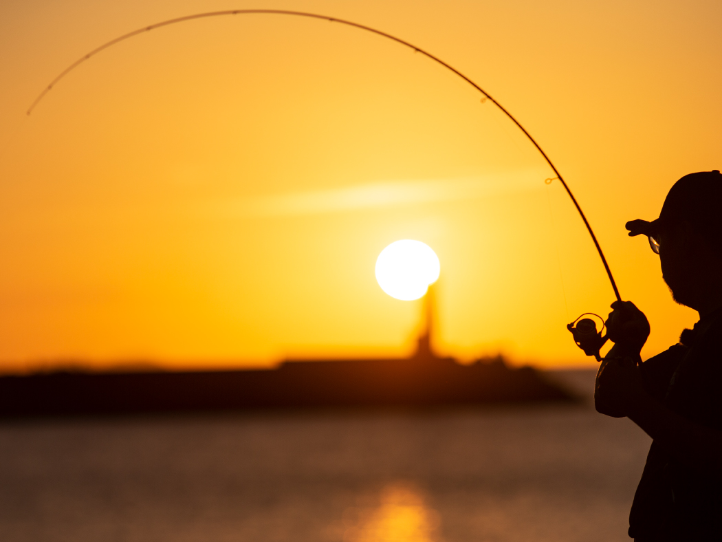 ラグゼ 宵姫 華弐 | がまかつ