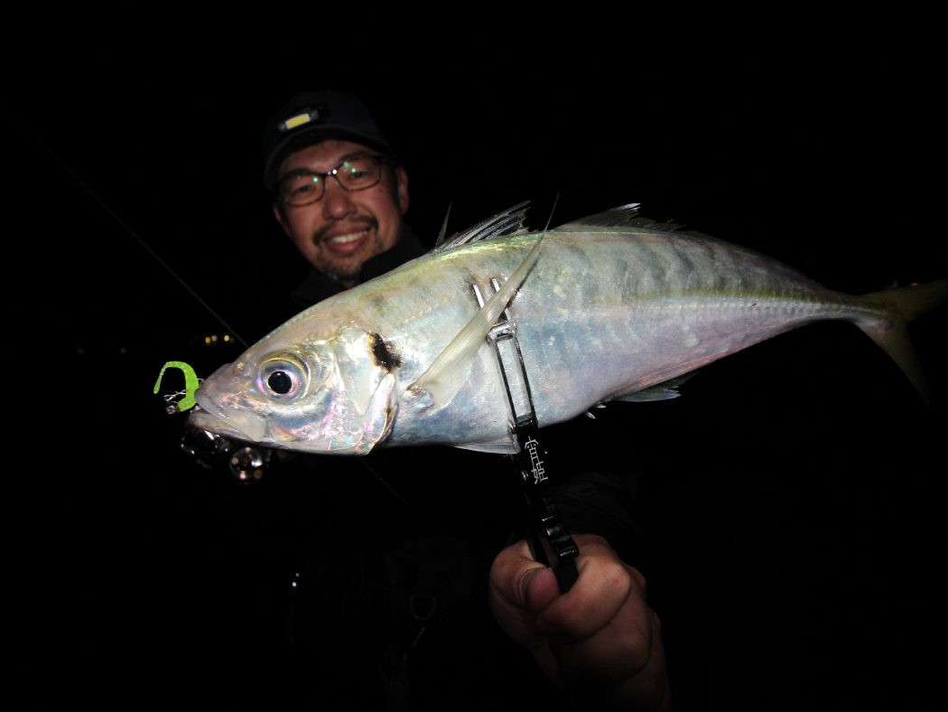 ラグゼ　宵姫華弍　54AL-ソリッド がまかつ(Gamakatsu) ラグゼ 宵姫 華弐 S54AL-solid(スピニング・2