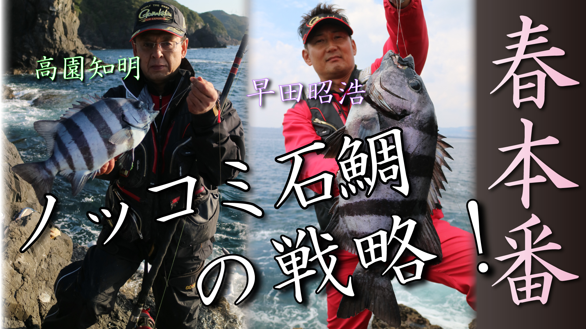 底物師の夢を追う 南薩で狙うノッコミ石鯛 | がまかつ