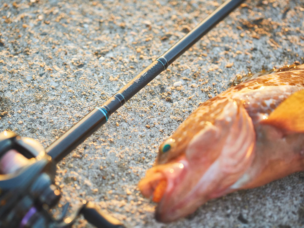 がまかつ　ラグゼ　寧音B77H-Solid　極美品 Gamakatsu（がまかつ） (再入荷予約・送料無料)がまかつ/ラグゼ ラグゼ