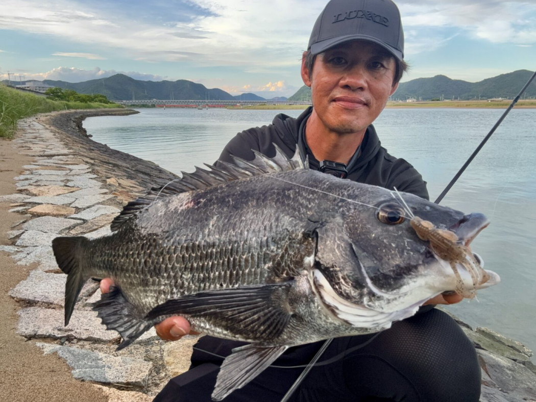 ラグゼ 寧音 | がまかつ