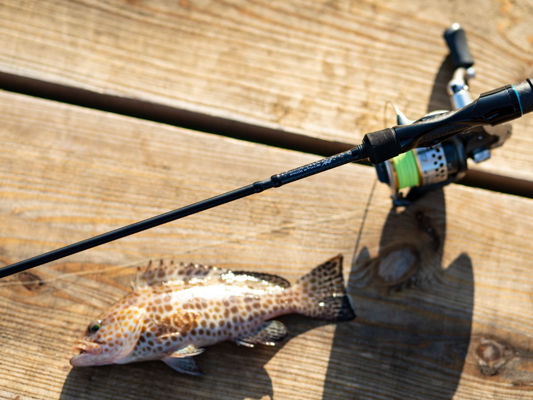 ラグゼ  a4 s54ul がまかつ　アジング ラグゼ パックスタイル A4 | がまかつ