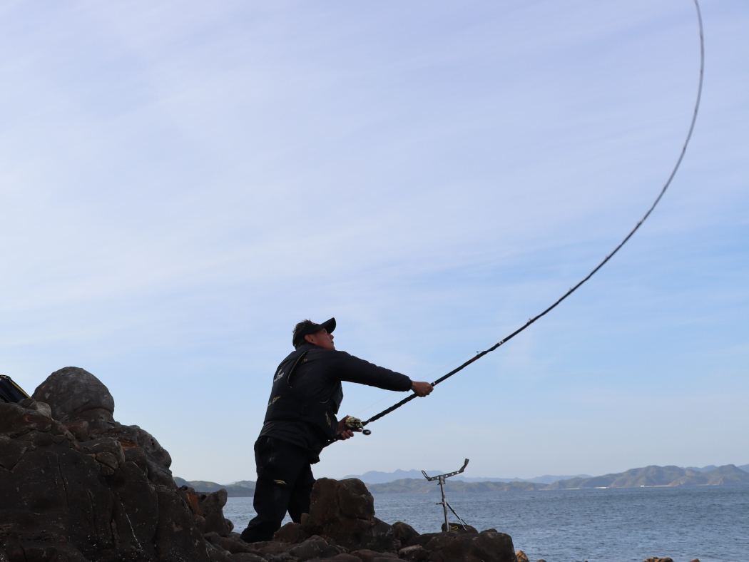 石鯛　がまかつ　がま石　レギス3 くわせ がま石 レギス3 | がまかつ