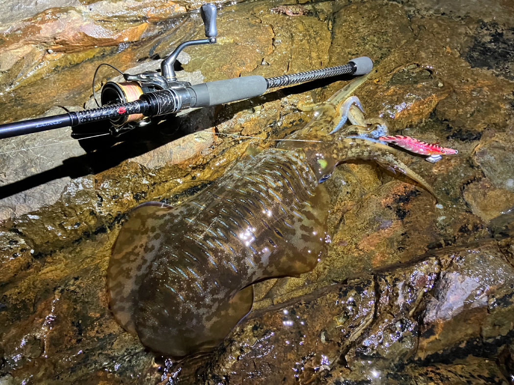 ラグゼ EG S | がまかつ