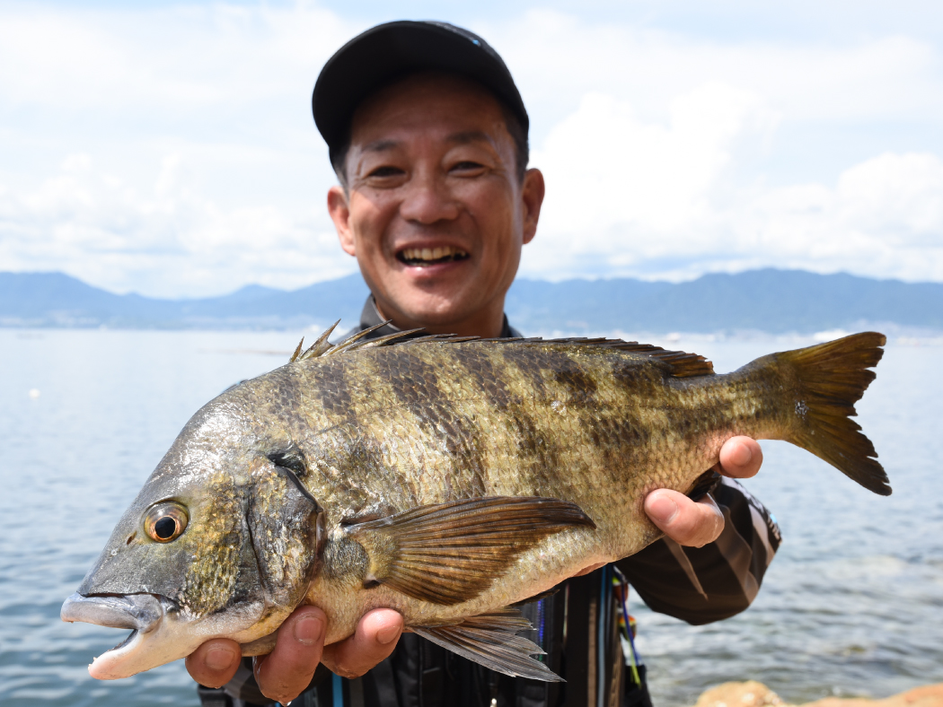 がま磯 アテンダー3 | がまかつ