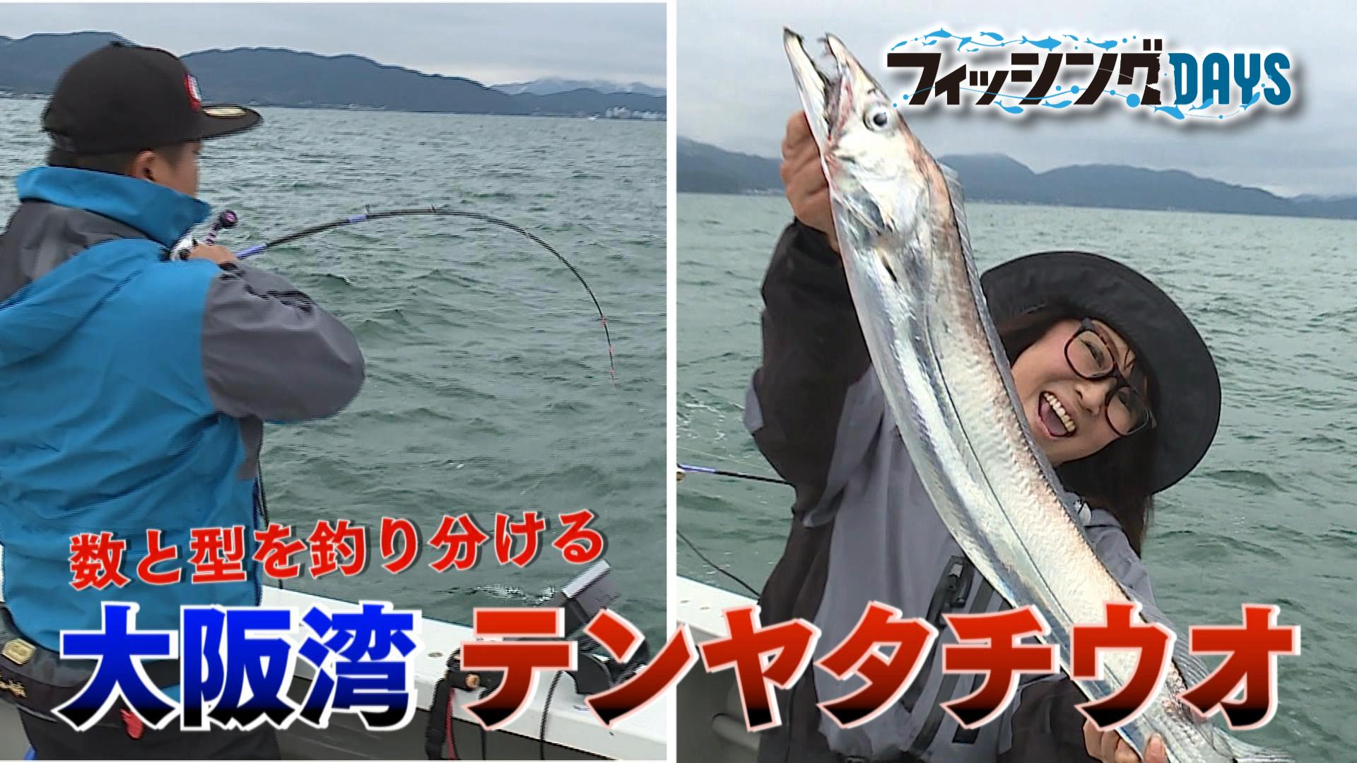 フィッシングDAYS】#77 数と型を釣り分ける 大阪湾テンヤ