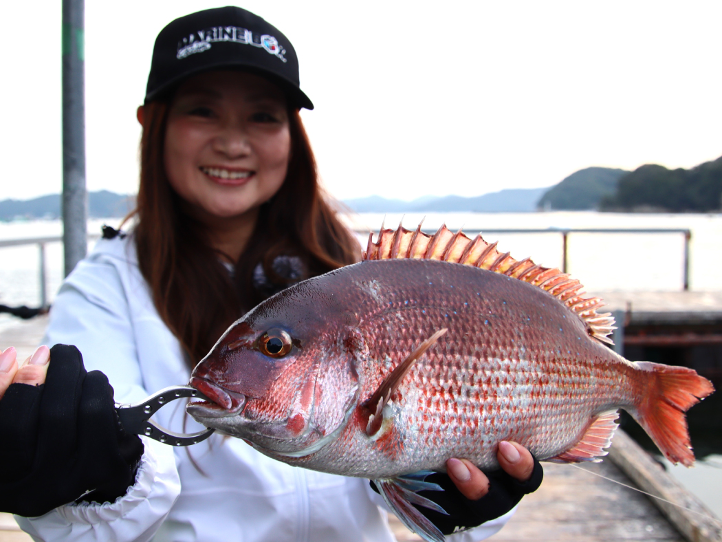 海上釣堀 マリンボックス ガチロック | がまかつ