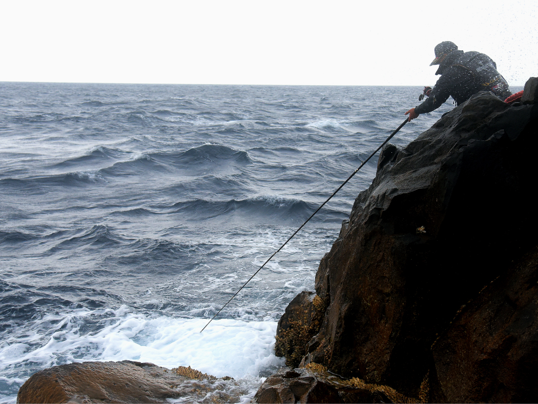 がま石 グランドバーサスV2 | がまかつ