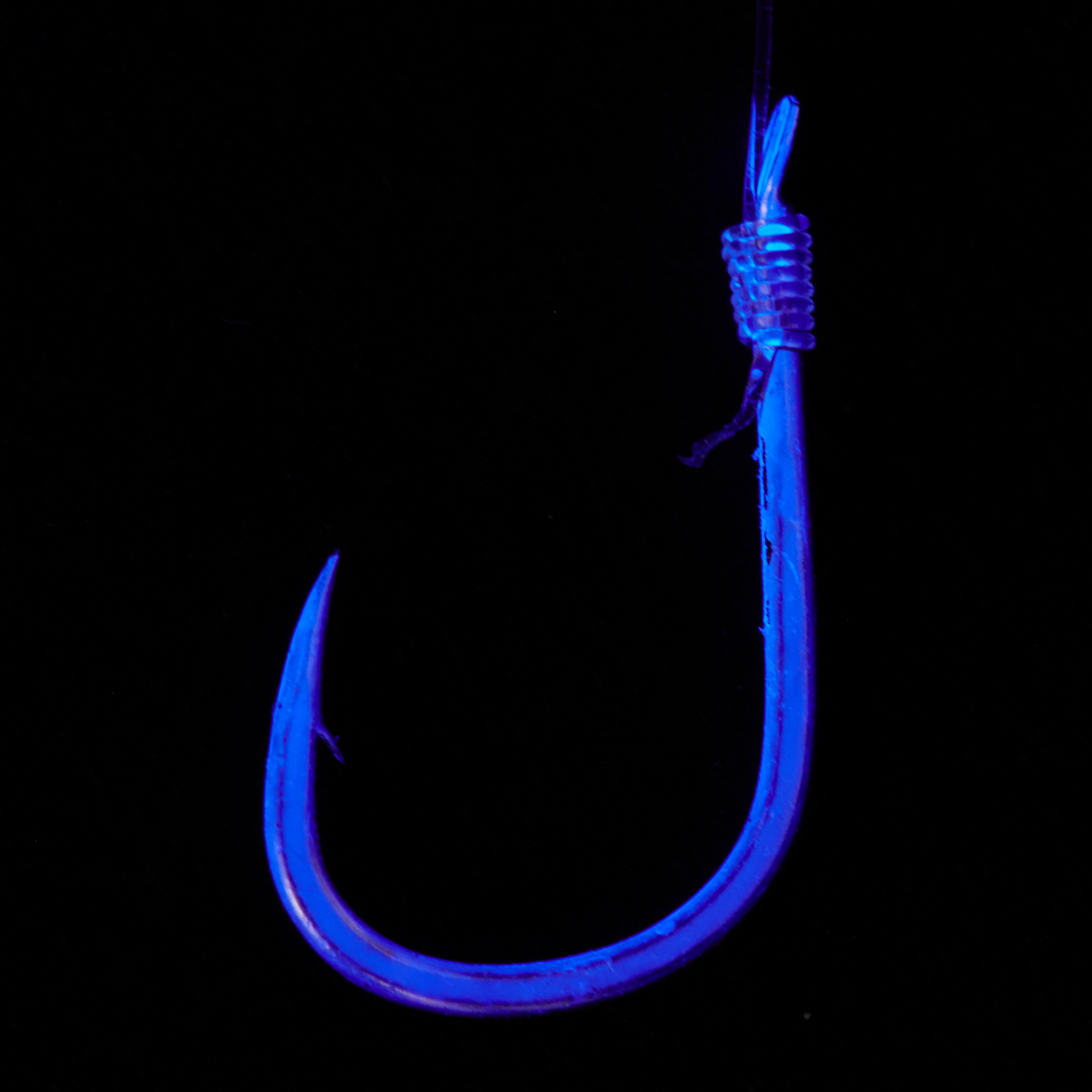 海上釣堀 マリンボックス 伊勢尼 リアルケイムラ | がまかつ