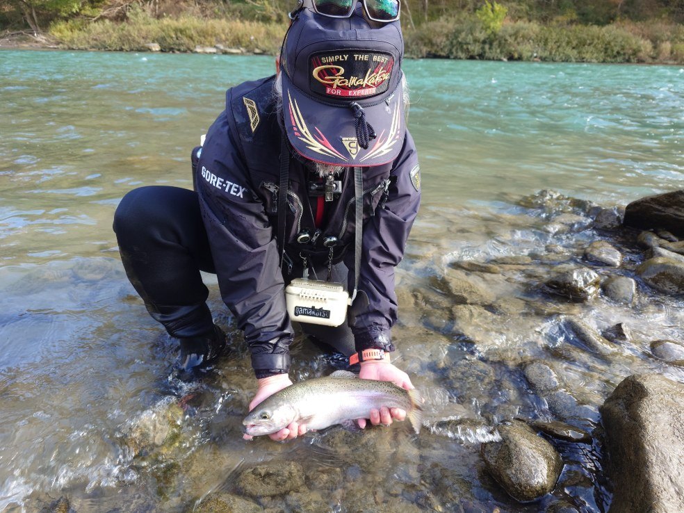 信州犀川キャッチ＆リリース でニジマスの引きを楽しむ(長野県大町市