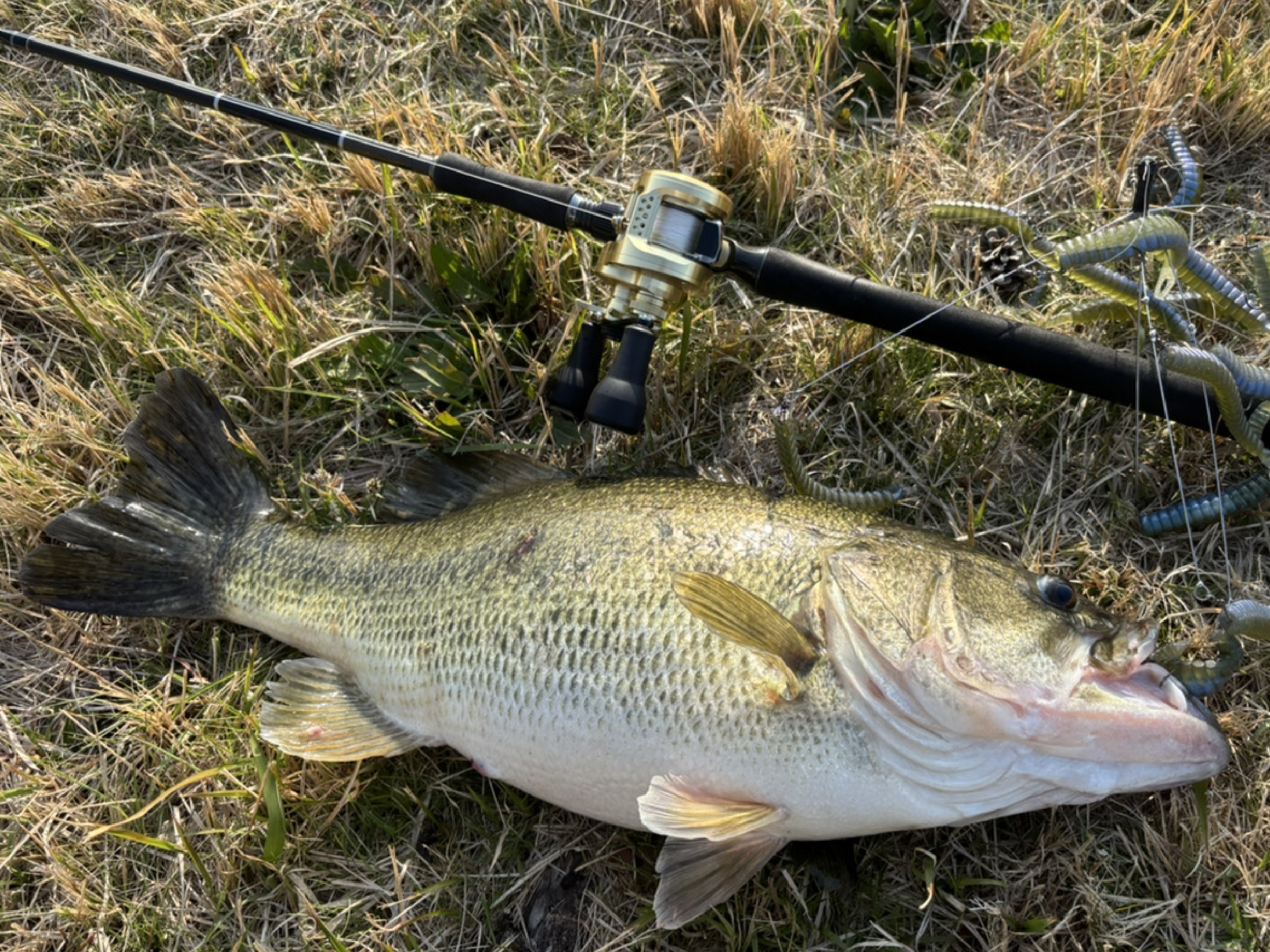 ホリゾンジグフック HD | がまかつ