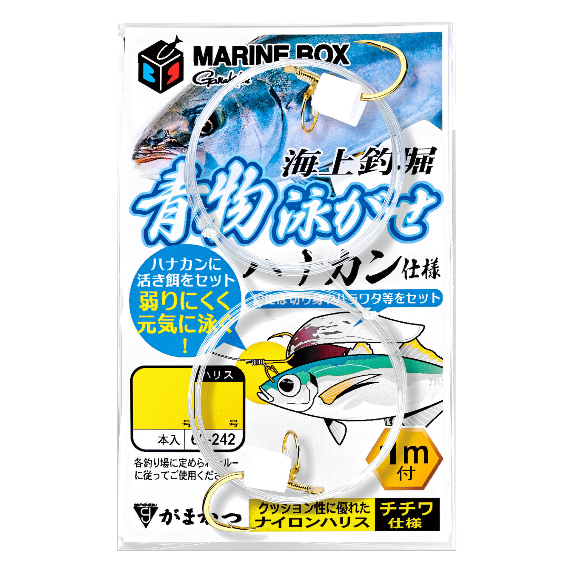 釣り物 直江津港第三東防波堤】8月の初心者向け釣り物3選 それぞれの釣り方も