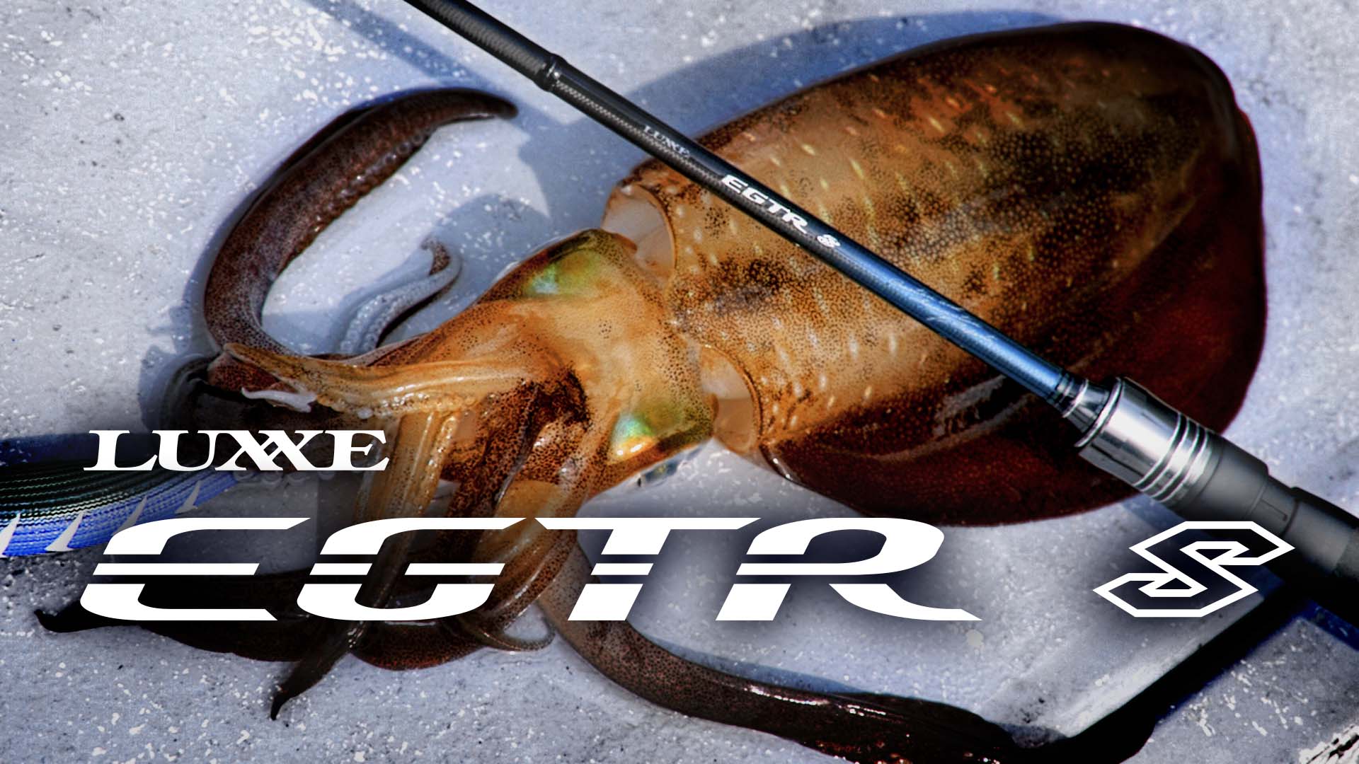 LUXXE EGTRにSシリーズが追加【ティップラン】 | がまかつ