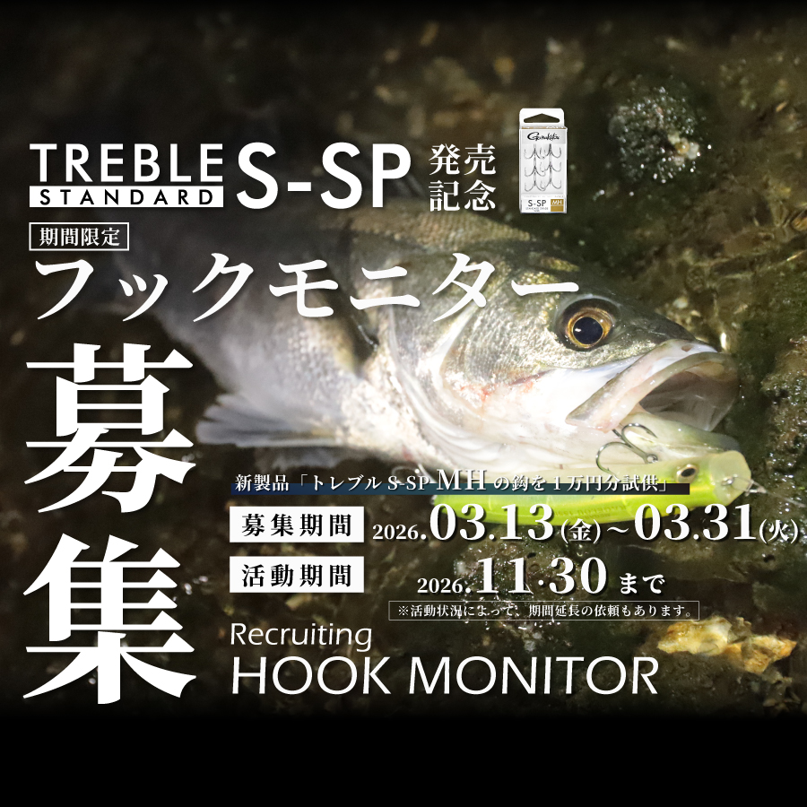 フックモニターキャンペーン（SP）