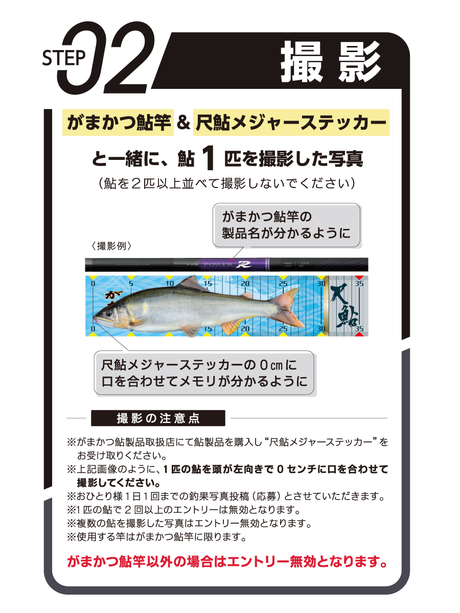 ステップ2