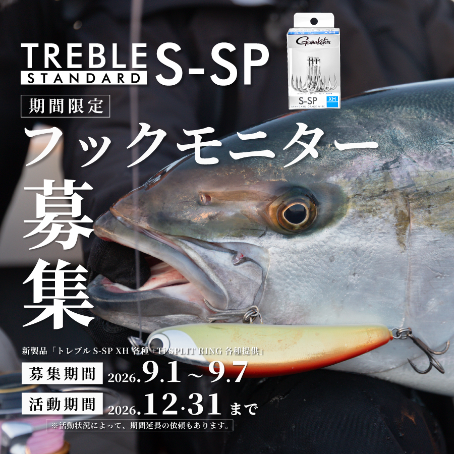 フックモニターキャンペーン(SP)